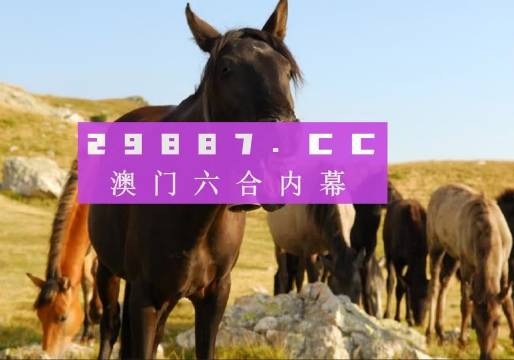 7777788888管家婆免费与澳门挂牌正版免费挂牌大全,数据驱动分析决策-防范虚假的诱饵检举